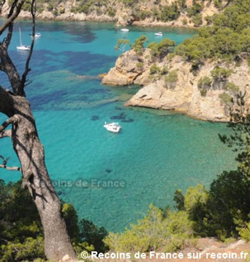 Studio 110 Grande Terrasse Proche Mer 邦多勒 外观 照片